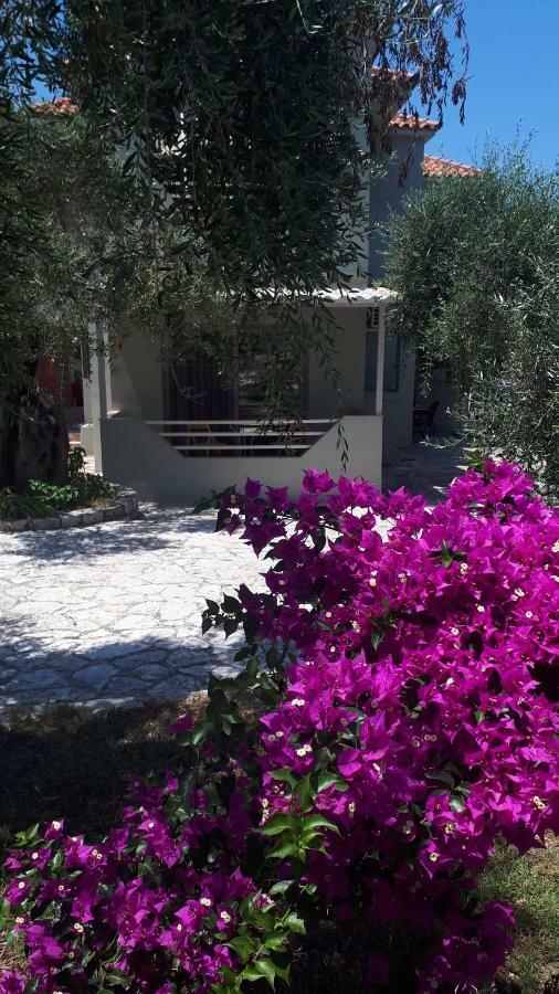 Sivota Apartments Parthenia ภายนอก รูปภาพ